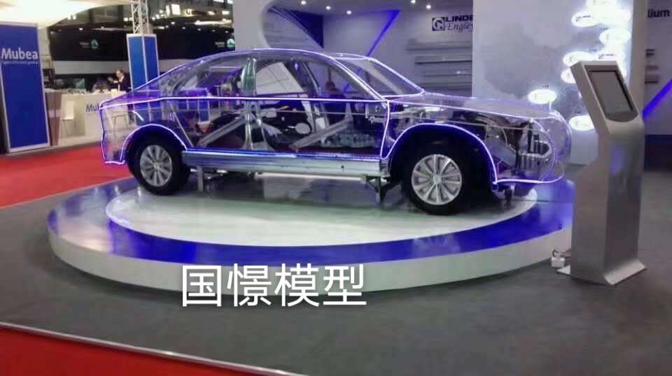 盈江县车辆模型