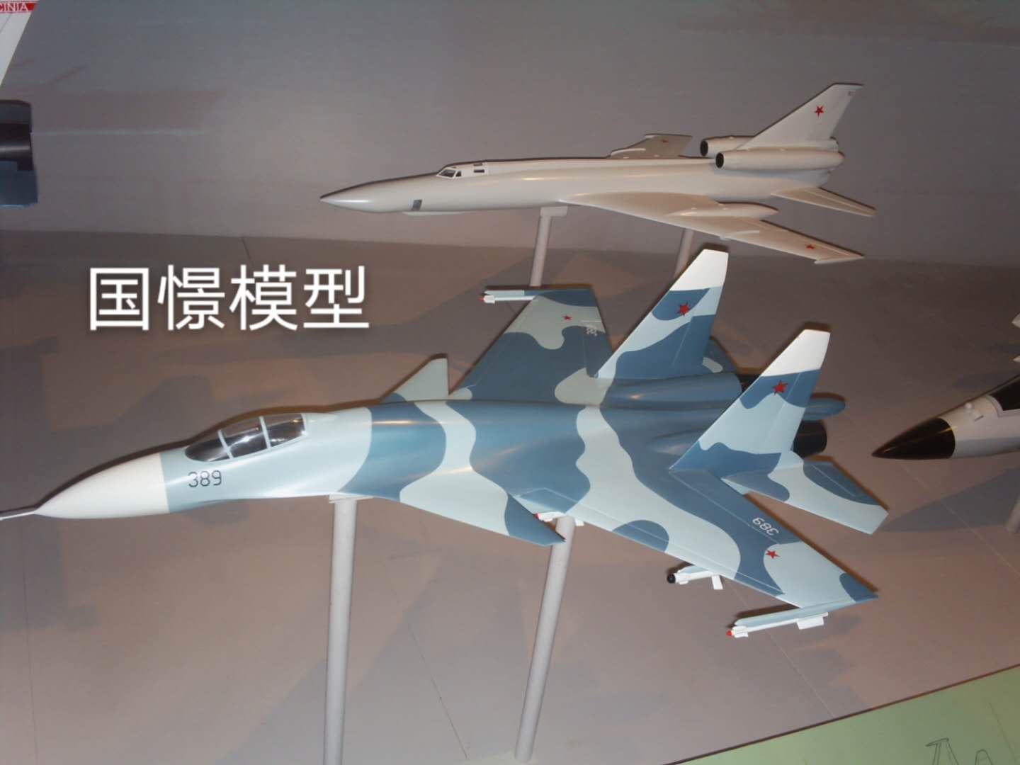 盈江县军事模型